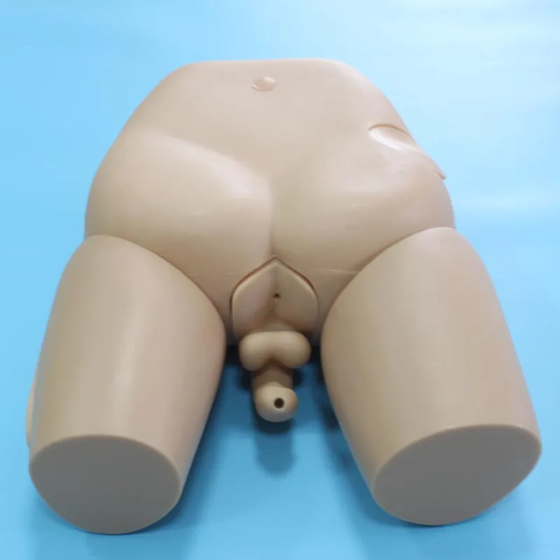 Шиньон уретральный симулятор катетеризации медицинская наука обучения