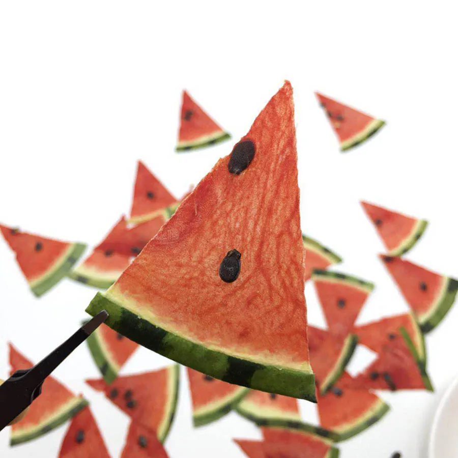 Прессованные сушеные ломтики арбуза фрукты растения гербарий для ювелирных