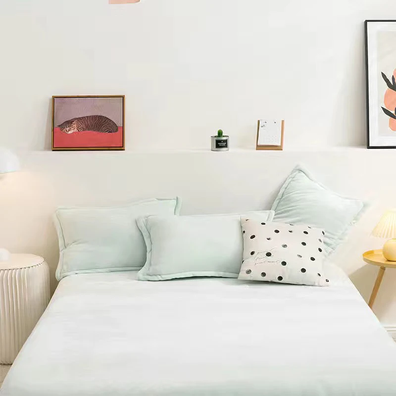 

2pcs 48x74cm Pillow Case Solid Color Autumn Winter Flannel Warm Plus Velvet Pillow Cover Pillow Top Cama Queen for Bed