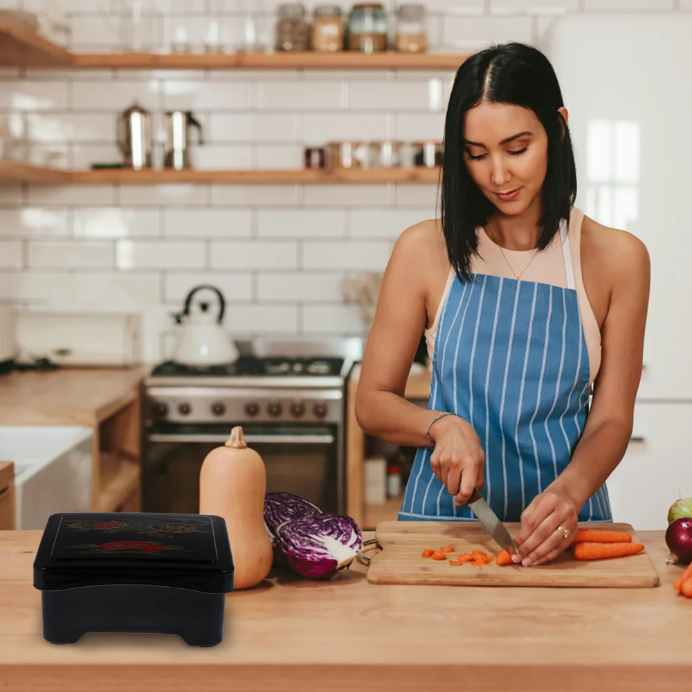 

1Pc Grilled Eel Over Rice Box Portable Sushi Bento Box Practical Dessert Box