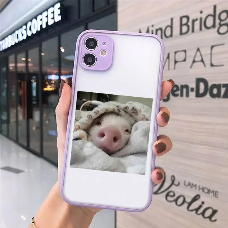 

Cute animal pig Phone Cases Matte Transparent For iPhone 12 Mini 11 Pro XR XS Max 7 8 Plus