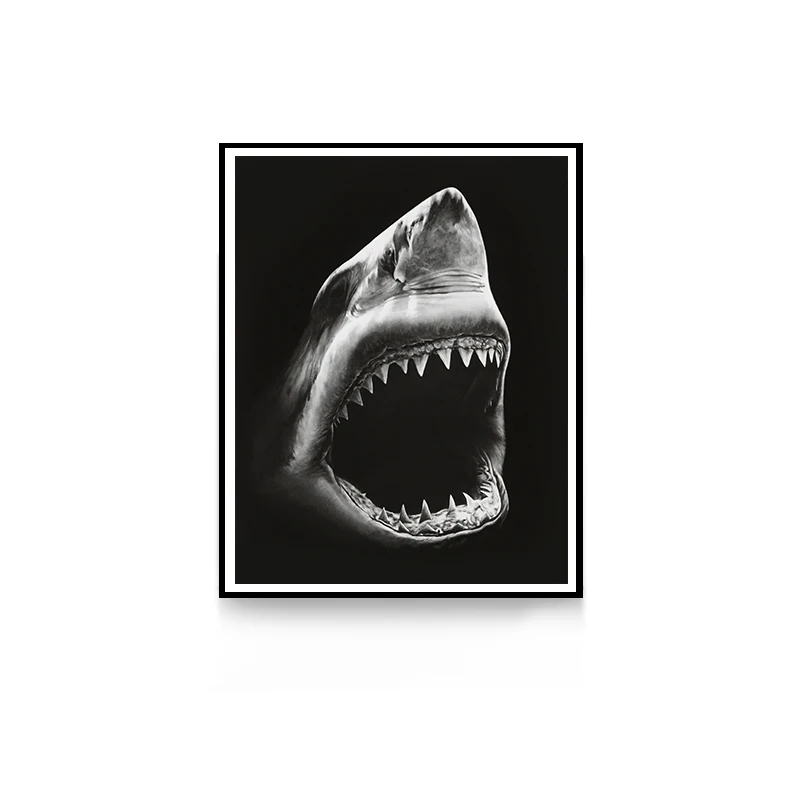 

HD Photography Cheetah Shark Canvas Art Wild Animals Poster And Print Paintings On The Wall For Living Room