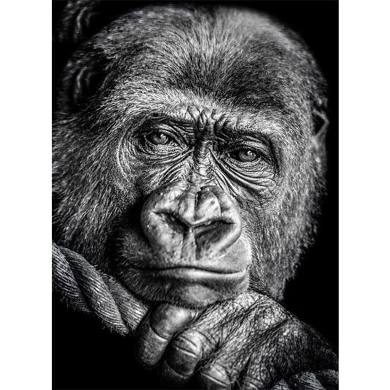 

New Art Diamond Embroidery Animal Gorilla 2019 5d Diamond Painting Full Square Rhinestones Picture Diamond Mosaic Beadwork TY277
