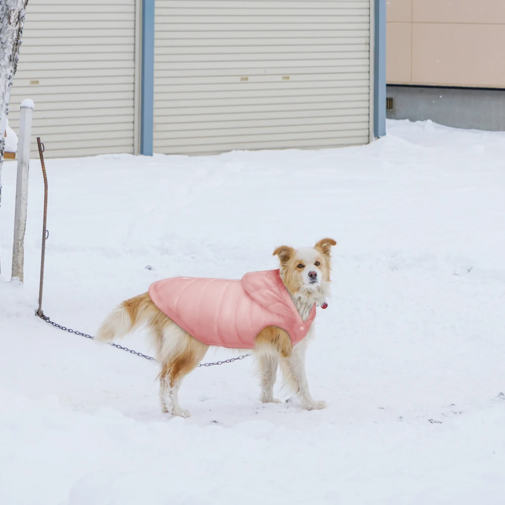 Hoomall, пальто для собак, хлопок, зимняя теплая одежда для маленьких собак, для чихуахуа, мягкий меховой капюшон, куртка для щенков, одежда для собак, 5 размеров