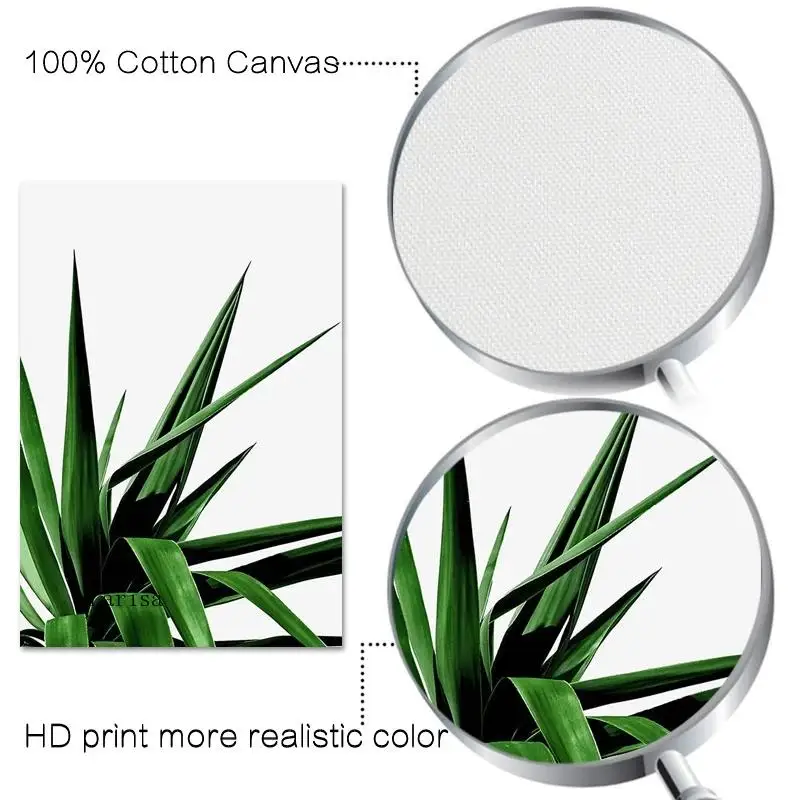 

Tropical Green Plant Wall Art Canvas Painting Palm Banana Leaf Posters and Prints Modern Decor Picture for Living Room Home