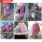 HUACAN камни в форме ромба картина с камнями (алмазная вышивка птица мозаика попугай 