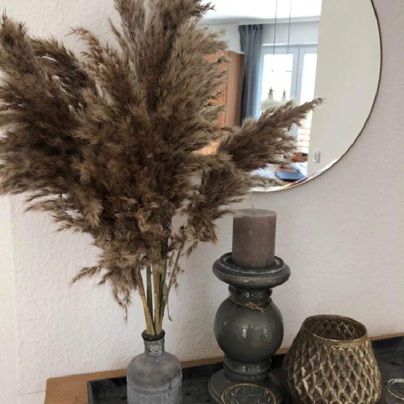 10/20 шт. декоративные сушеные цветы|Вазы| |