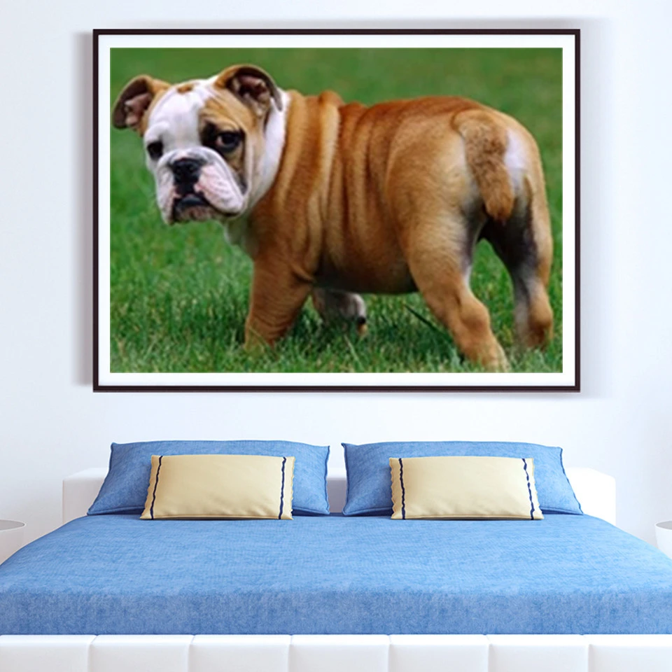AZQSD Unframe DIY Oil Painting By Numbers Animal Home Decoration Acrylic Paint Coloring Dog Handpainted Gift | Дом и сад