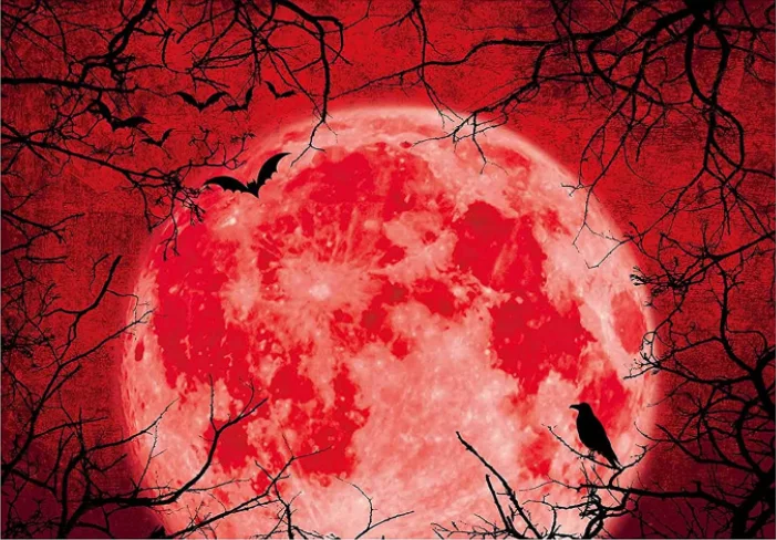 Halloween Red Full Moon Backdrop Horror Moon Night Vampire Photography Background Crow Forest Photo Decoration Photoshoot enlarge