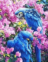 5d diy poured glue diamond painting kits parrot full round with ab drill embroidery animal bird decorations home art unique gift