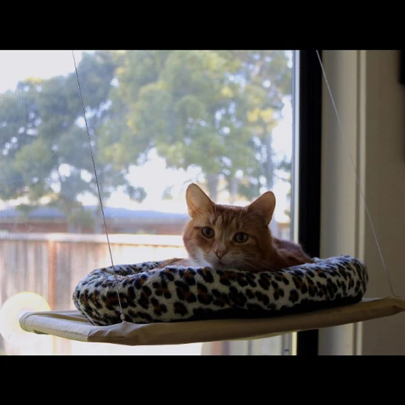 

Cat Window Hammock Hanging Funny Blanket Product Supply For Puppy Cats Mat Waterproof Cat Litter Mat For Small Medium Big Pets