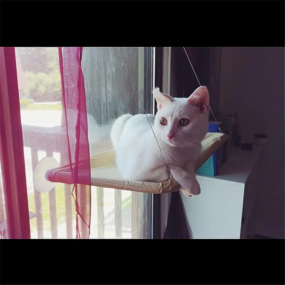 Гамак для домашних животных подвесное сиденье на присоске кошек котят | Дом и сад