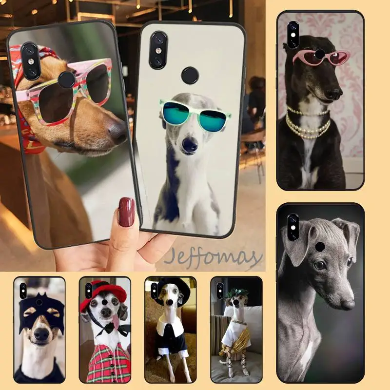 

animal Galgo Greyhound Dog Phone Case For Xiaomi Redmi 7 8 9t a3Pro 9se k20 mi8 max3 lite 9 note 9s 10 pro