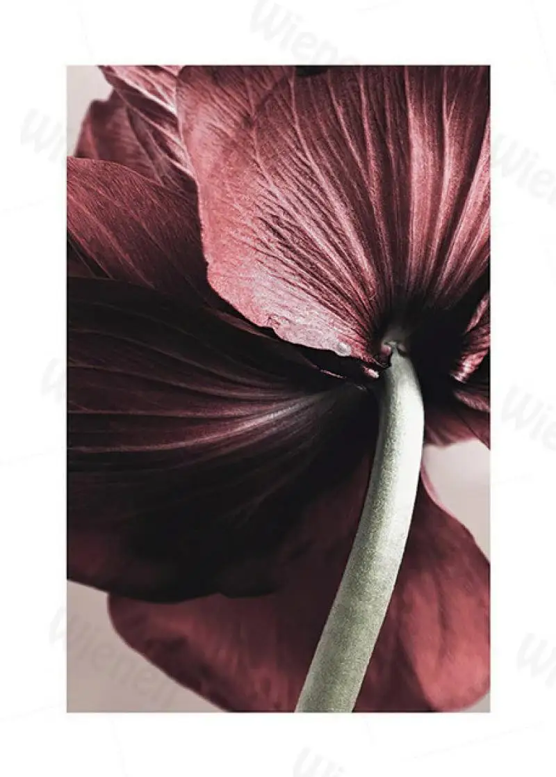 

Wall Art Dried Flowers Quote Decor Poster Still Life Nordic Minimalist Home Decor Canvas Painting Bedroom Mural Living Room Deco