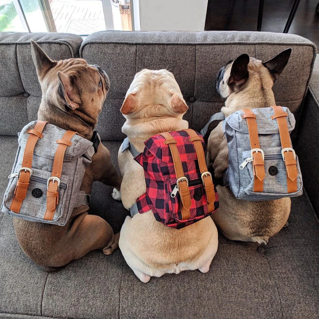 

Pet Backpack Dog Harness Retro Style Dog Self Backpack Trendy Fashion Cat Puppy Chest Strap Travel School Bag Funny Pet