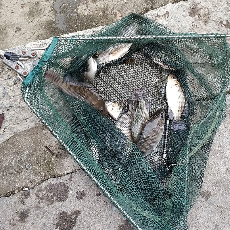 

Automatic Spring Fishing Pole Bracket Durable Outdoor Fishing Gear Fish Rod Holder Fishing Rods Accessories with 3 hooks