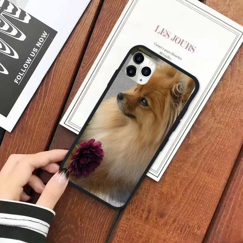 

Pomeranian dogs dog lovely Phone Case for iPhone 11 12 pro XS MAX 8 7 6 6S Plus X 5S SE 2020 XR
