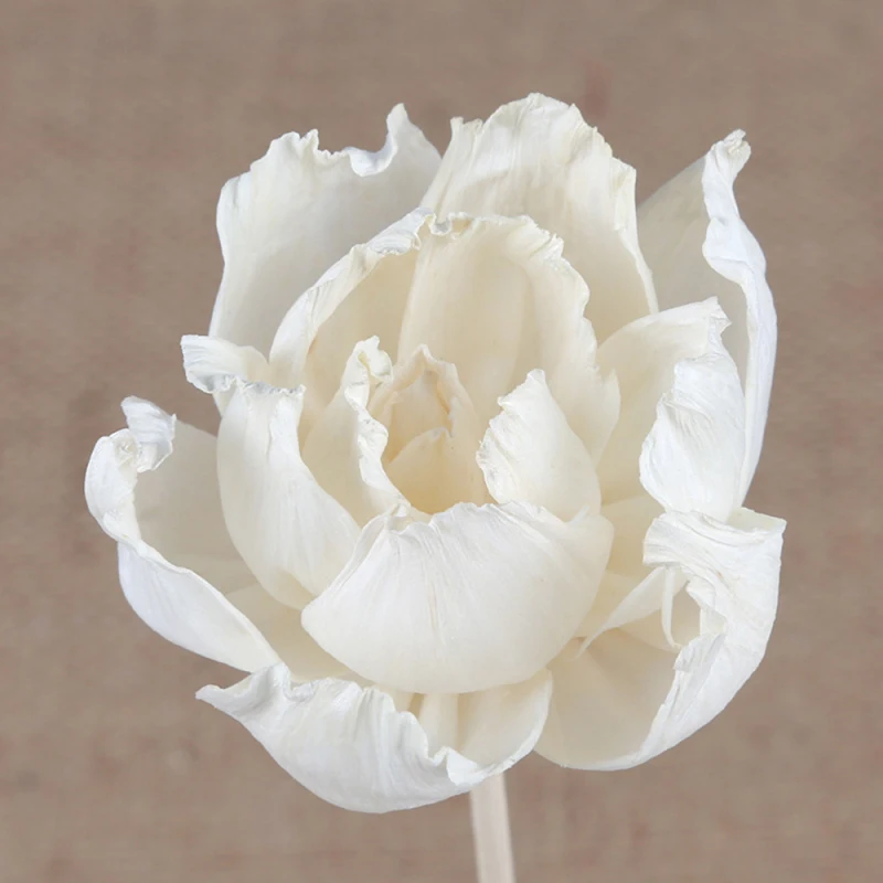 

Ротанговые палочки в форме цветка, 3 шт./лот