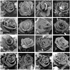 Картина из страз 