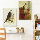 Парусиновая картина Saker Falcon, Новое поступление, картина в виде птицы Falcon, настенный художественный постер для украшения гостиной