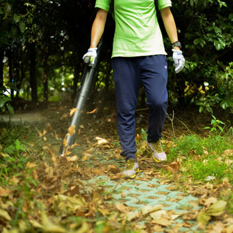 Greenworks Pro 80V Рюкзак для отдыха на открытом воздухе садовый инструмент сдуватель