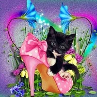 full squareround drill 5d diy diamond painting cat shoes 3d rhinestone embroidery cross stitch 5d home decor gift