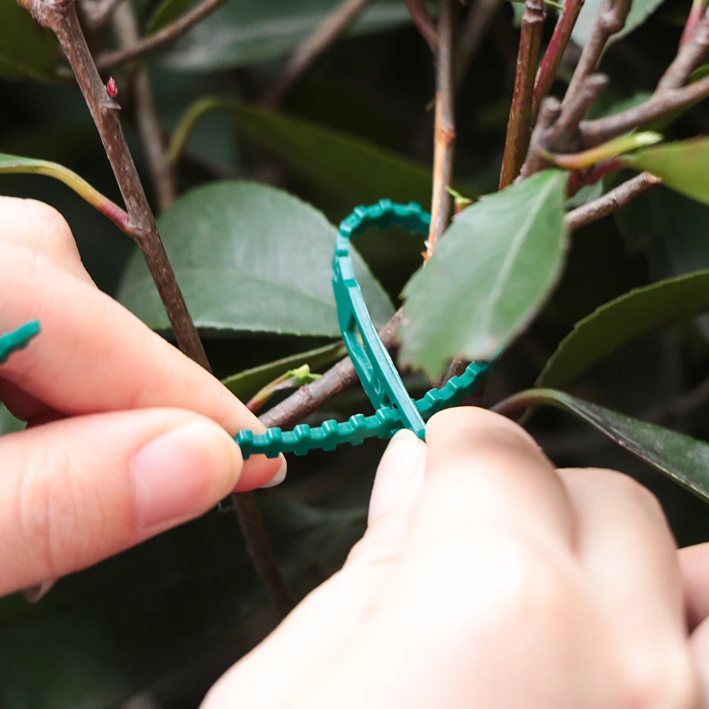 100 шт. Зеленый Садовый виноград Альпинизм кабельные стяжки для растений Запчасти