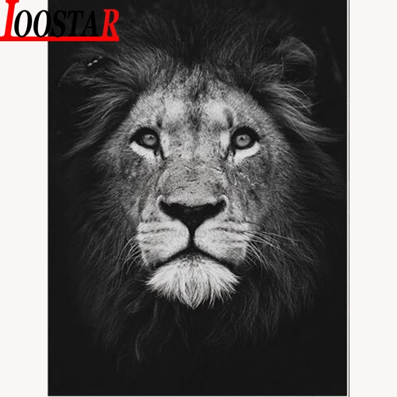 5d алмазная живопись животные черный белый лев полная квадратная круглая