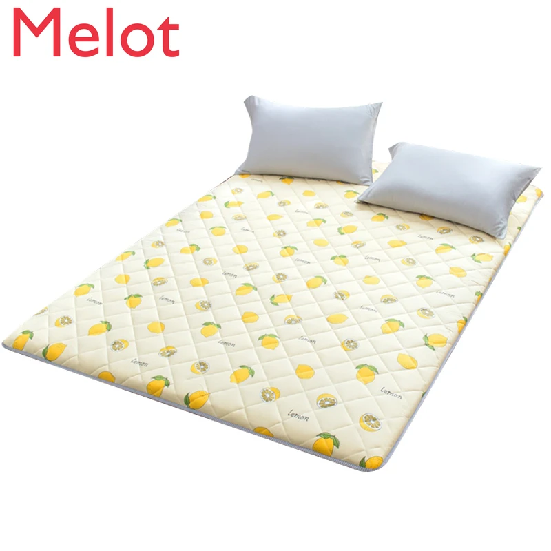 

European-Style Fresh Brushed Tatami Mat Student Bed Protection Mat Thickened Floor Mat Window Cushion Yoga Mat Free shipping