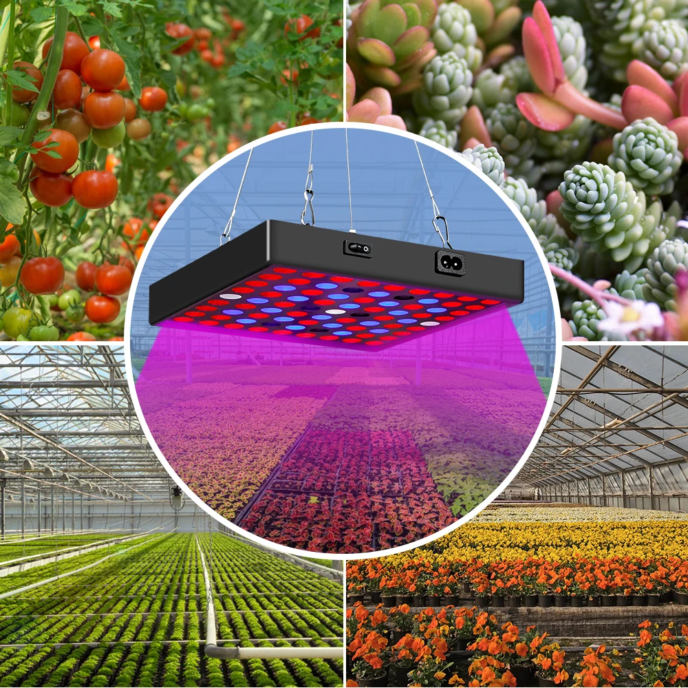

220V Grow Lamp Full Spectrum LED Plant Light 110V Fito Lamp 2000W 3000W Greenhouse Hydroponic Bulb For Seed Growth Tent Lighting