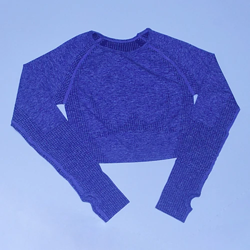 Purple shirts Vital бесшовный спортивный костюм, спортивный комплект, женская одежда для тренировок, бесшовные леггинсы, спортивный бюстгальтер пуш-ап, укороченный топ с длинными рукавами, комплект из 3 предметов для йоги - Цвет: Purple shirts