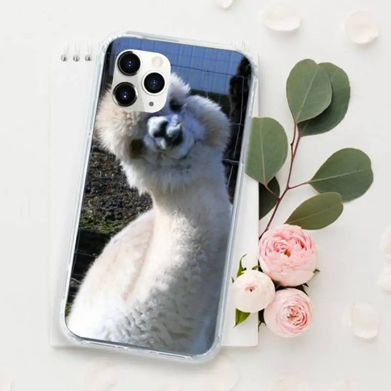

cute Lama Llama Alpacas Animal Phone Case for iPhone 11 12 pro XS MAX 8 7 6 6S Plus X 5S SE 2020 XR funda coque