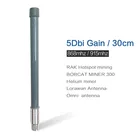 Helium miner 868 МГц антенна 915 МГц lora wan антенна RAK точка доступа для майнинга Hotspot lorawan Антенна Усилитель сотового сигнала 868 915