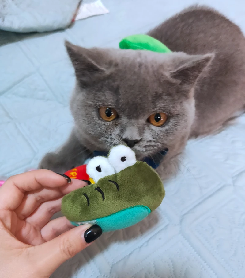 Новая игрушка С Кошачьей Мятой Huggie the grey Mouse забавная для кошек с настоящей внутри