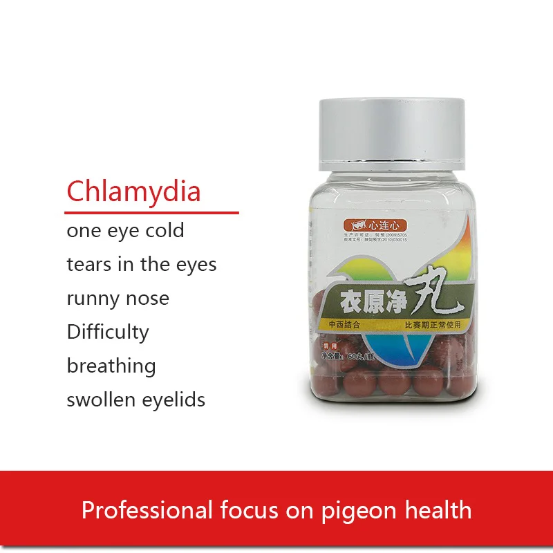 

Pigeon parrot supplies Chlamydia infection in one eye, cold and tears, red and swollen eyes, do not eat