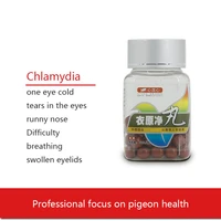 pigeon parrot supplies chlamydia infection in one eye cold and tears red and swollen eyes do not eat