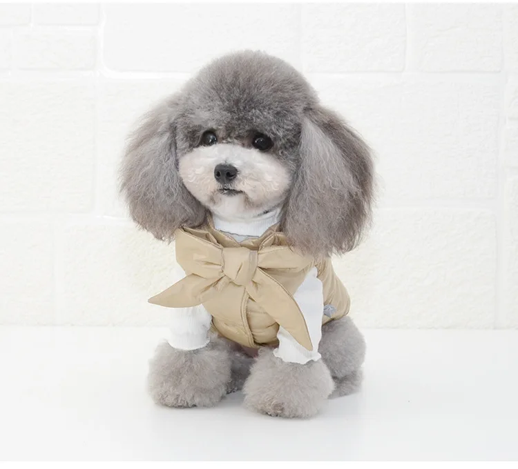 Новейшая Одежда для собак на осень и зиму, пуховая одежда с хлопковой подкладкой, две ноги, Теплая стеганая одежда для домашних животных, утолщенная пуховая одежда для собак