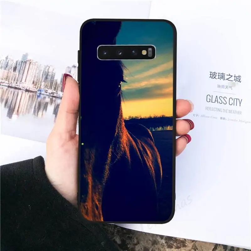 

Frederik The Great beauty horse Phone Case For Samsung galaxy S 7 8 9 10 20 edge A 6 10 20 30 50 51 70 note 10 plus