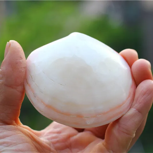 Бесплатная доставка натуральный раковины розовый моллюск гребешок девушка