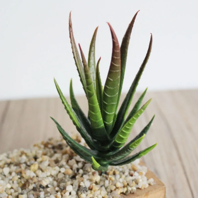 Искусственные суккуленты растения алоэ ландшафт с искусственным растением