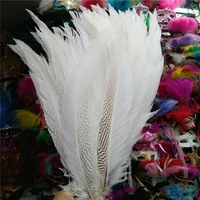 50pcslot quality white silver pheasant feathers 24 26inches60 65cm wedding supplies party christmas craft plume