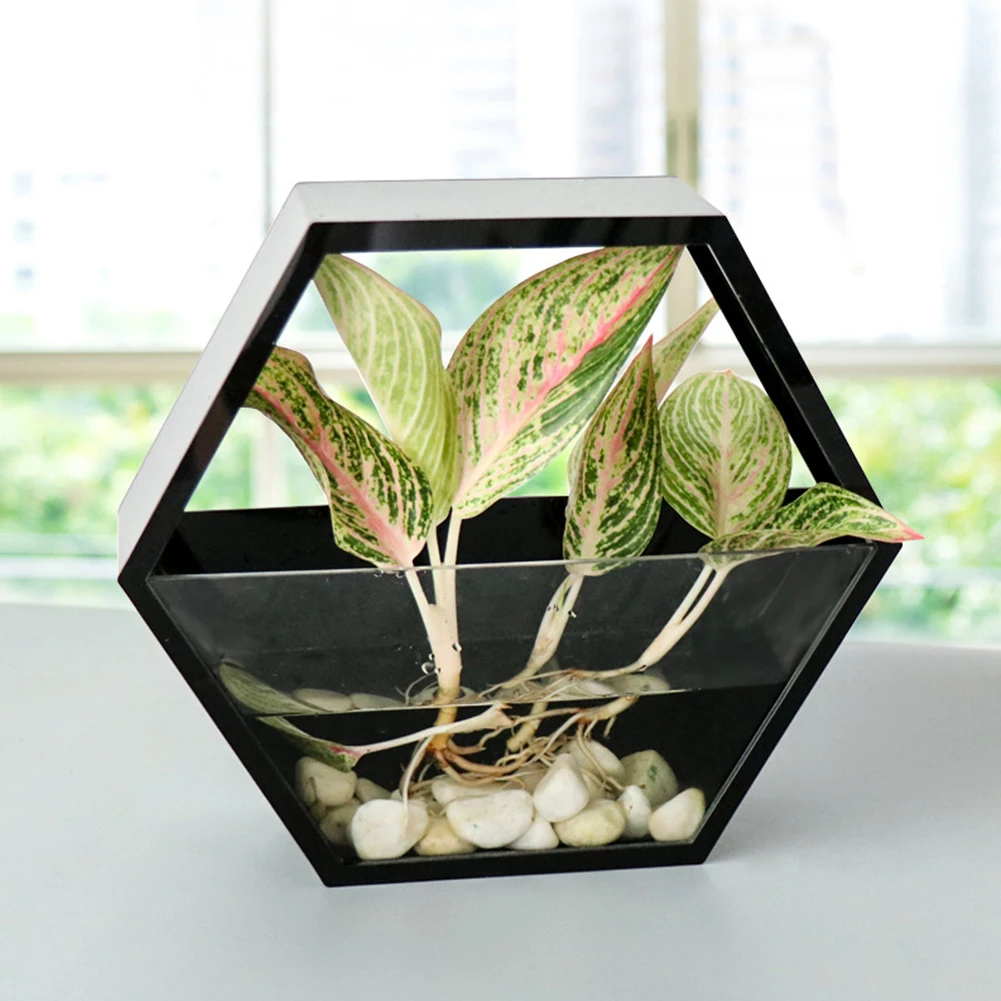 Настенный акриловый цветочный горшок с хлорофитумом для отелей Современное