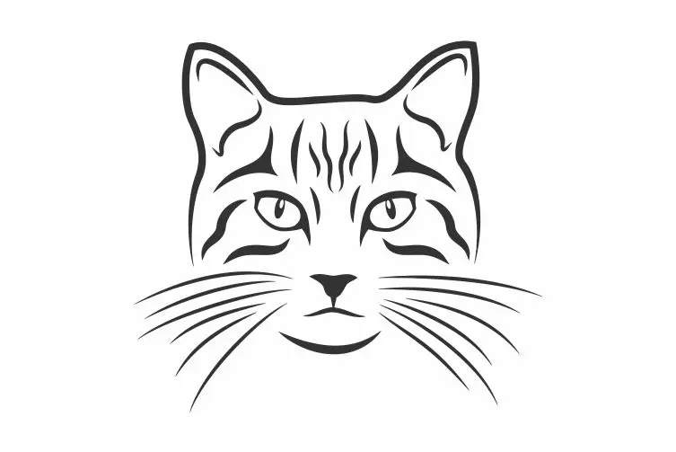 Матовые мышления длинная борода кот автомобильные наклейки и графика для