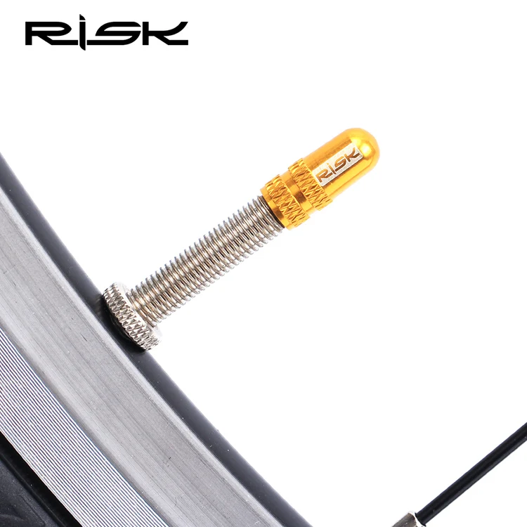 10 шт. RISK Bike Presta Schrader колпачки для клапанов MTB дорожный велосипед покрытые шинами французские американские Пылезащитная защита шин 7 цветов - Цвет: Presta-golden