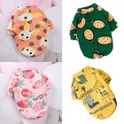 Теплый свитер для домашних питомцев, разноцветный плюшевая Полиэстеровая, милый мягкий бархатный свитер с принтом для собак, домашних животных, одежда с фруктовым принтом