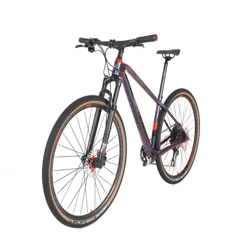 

TWITTER WARRIORpro 2021SX EAGLE-12S hot mountainbikes bicycle mountain bike men carbon mountain bicycle 29er SX EAGLE DUB,34T