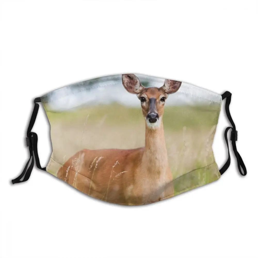 

Roe-deer Animal Washable Trendy Mouth Face Mask with Filters Anti Wind Dust Proof Winter Protection Cover Muffle for Adult