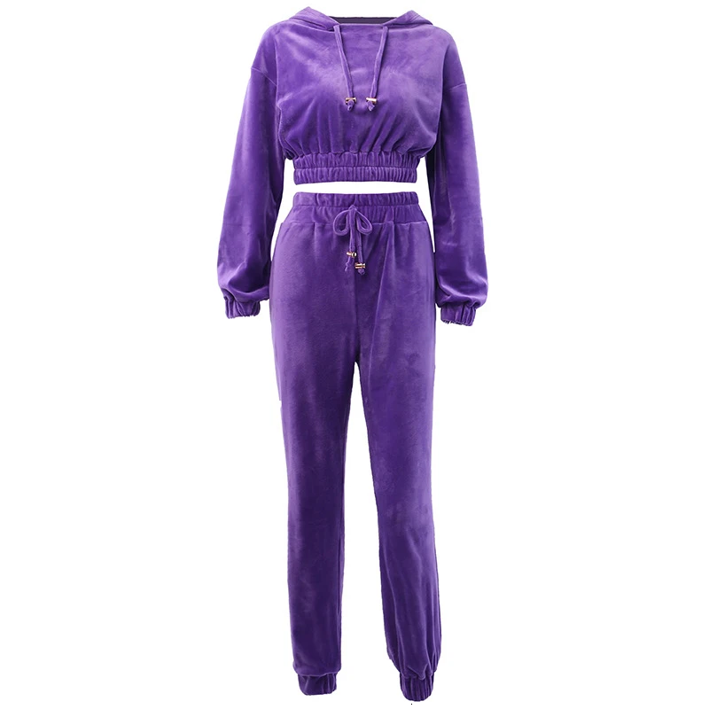 Sweatsuit Tracksuit Solid Velvet Hooded Women Two Piece Set Crop Top and Harem Pants Casual Jogger Autumn Sexy Sportswear TZ04 |