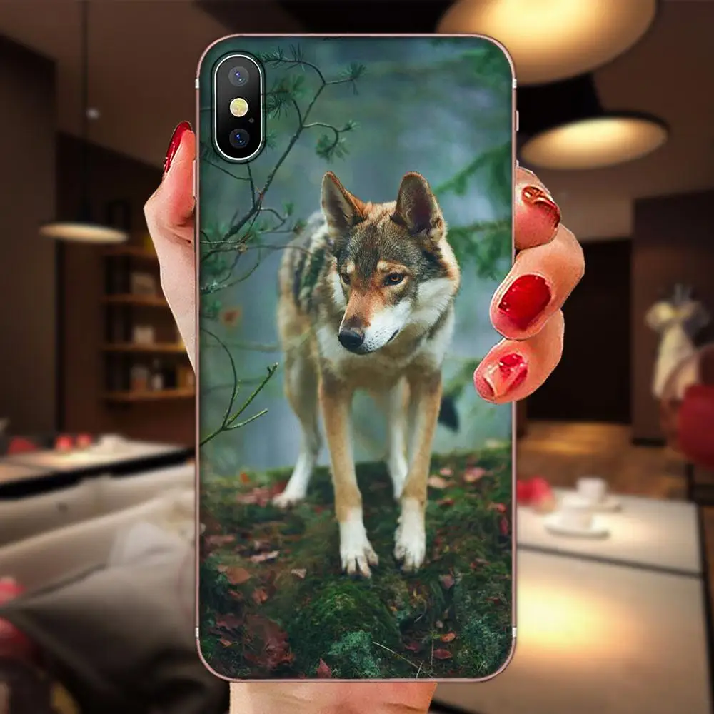 Wolf Dog Soft Tpu Phone Case For Huawei P7 P8 P9 P10 P20 P30 Lite Mini Plus Pro Y9 Prime P Smart Z 2018 2019 | Мобильные телефоны и