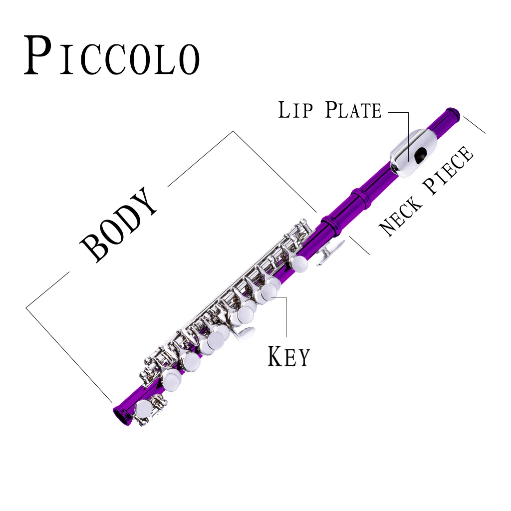 Nice C Key Piccolo Nickel Plated Purple Color W/ Case Cleaning Rod And Cloth And Gloves Cupronickel Piccolo Set enlarge